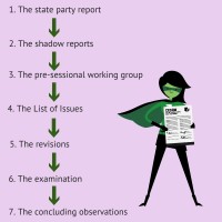 1) the state party report, 2) the shadow reports, 3) The pre-sessional working group, 4) the List of Issues, 5) the revisions 6) the examination, 7) the Concluding Observations